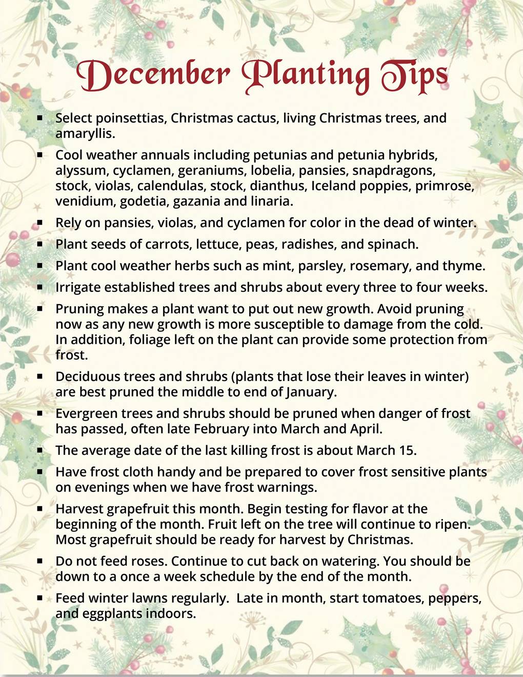 Xmas planting tips